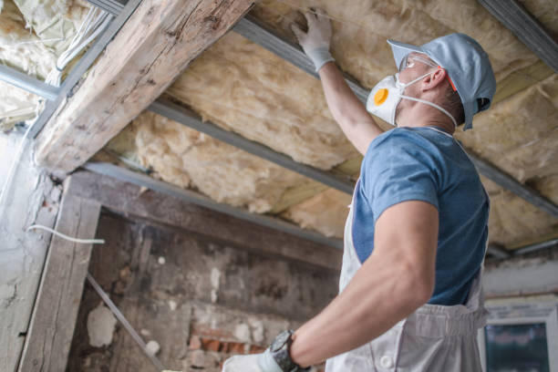 Best Spray Foam Insulation in Unalaska, AK