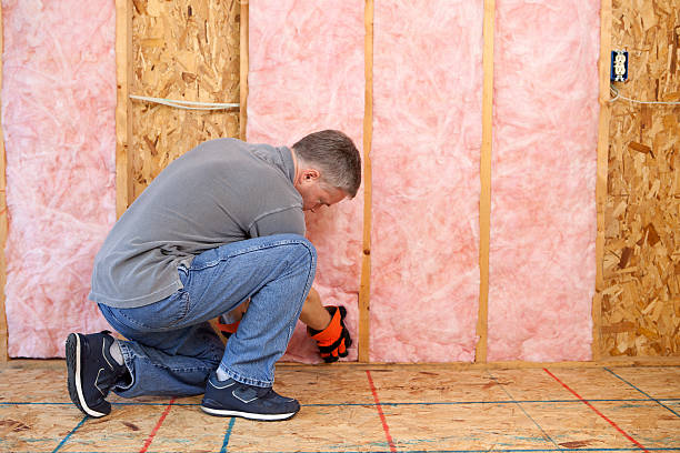 Best Energy Efficiency Insulation in Unalaska, AK